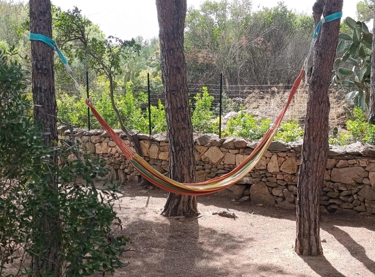 Holiday home Casa Le Farfalle Capo Coda Cavallo